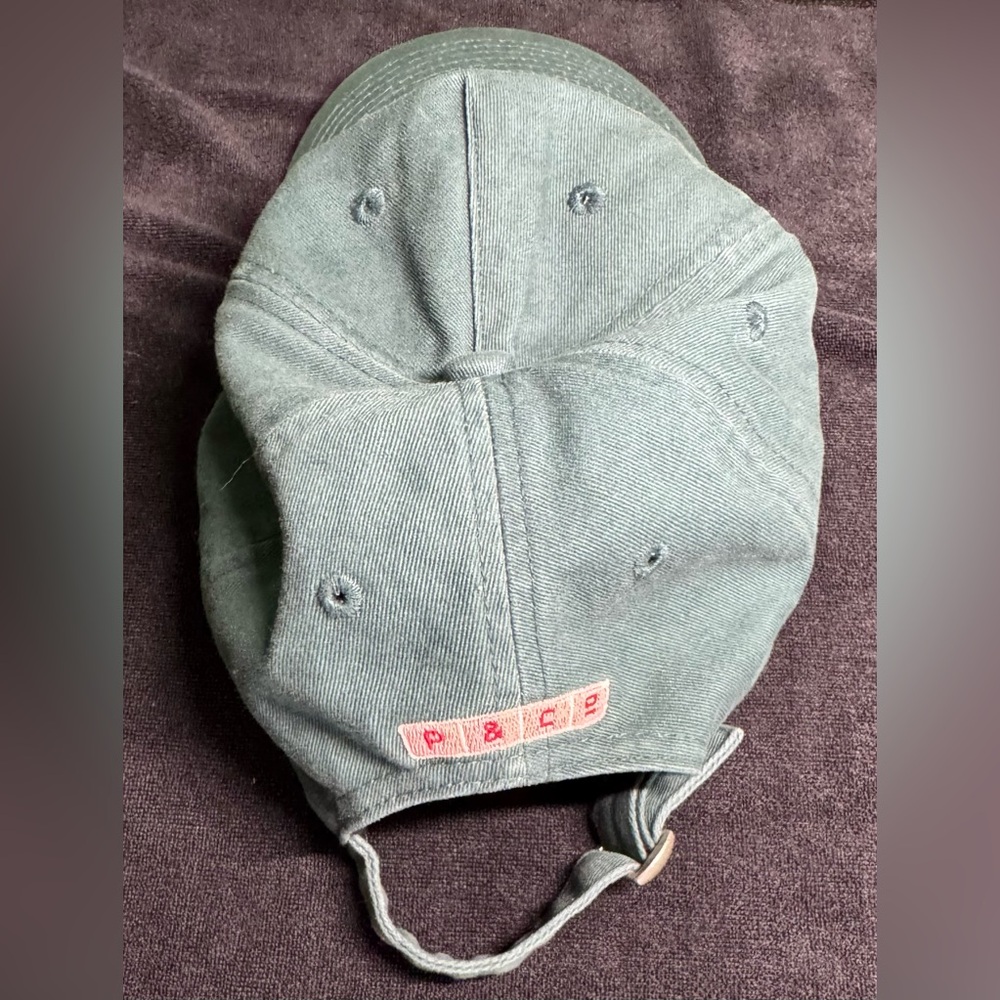 P&Co. - The Valley Hotel & Casino Dad Hat - Faded Green - Picture 3 of 6